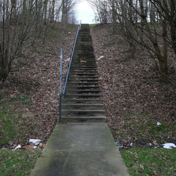 Eine Treppe führt zwischen kahlen Bäumen hinauf.