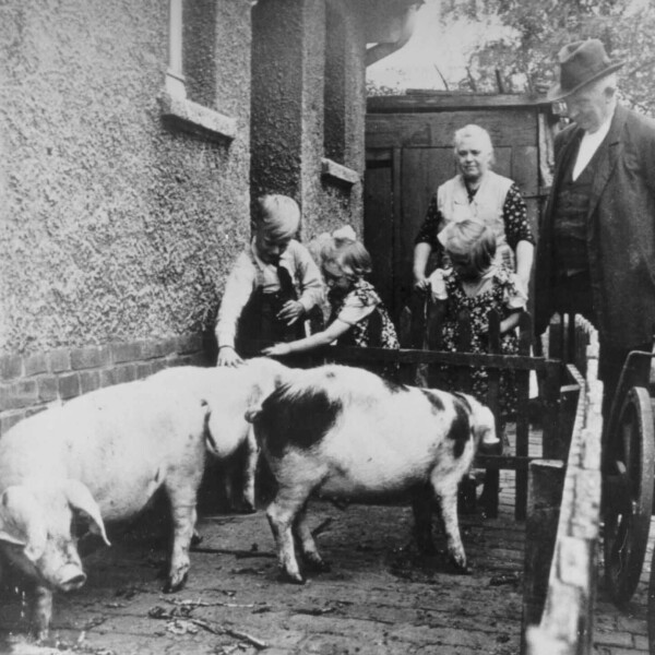 Eine Bergarbeiterfamilie bestehend aus einem Mann, einer Frau und zwei Kindern stehen im Hinterhof eines Hauses. Vor ihnen stehen drei Schweine in einem Laufstall.
