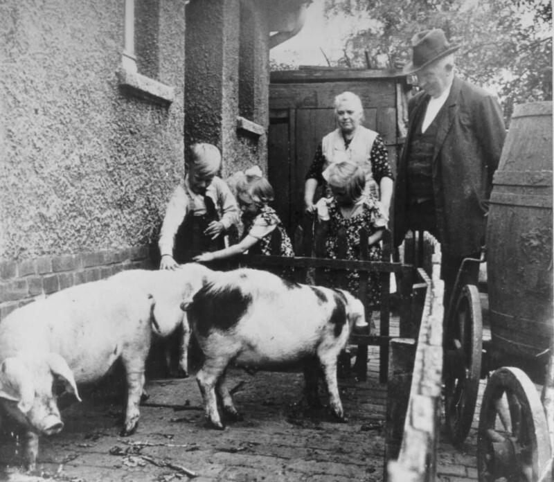 Eine Bergarbeiterfamilie bestehend aus einem Mann, einer Frau und zwei Kindern stehen im Hinterhof eines Hauses. Vor ihnen stehen drei Schweine in einem Laufstall.