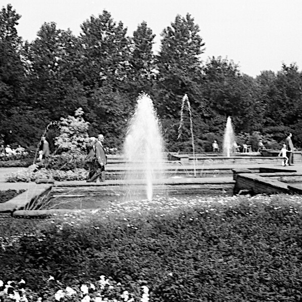 Aus Wasserbecken im Gelsenkirchen Stadtgarten steigen Wasserfontänen auf. Zwischen den Becken spazieren vereinzelt Menschen durch die Anlage.