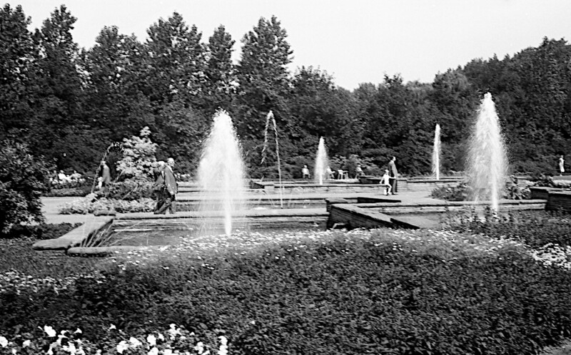 Aus Wasserbecken im Gelsenkirchen Stadtgarten steigen Wasserfontänen auf. Zwischen den Becken spazieren vereinzelt Menschen durch die Anlage.